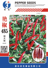 科光種苗“艷椒485”辣椒、“秋實(shí)1號(hào)”甘藍(lán)分別入選2025年農(nóng)業(yè)主導(dǎo)品種、農(nóng)作物優(yōu)良品種推廣目錄